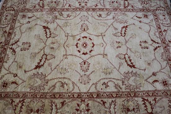 An fawn ground rug and a Persian red ground runner, 240 x 172cm and 250 x 62cm